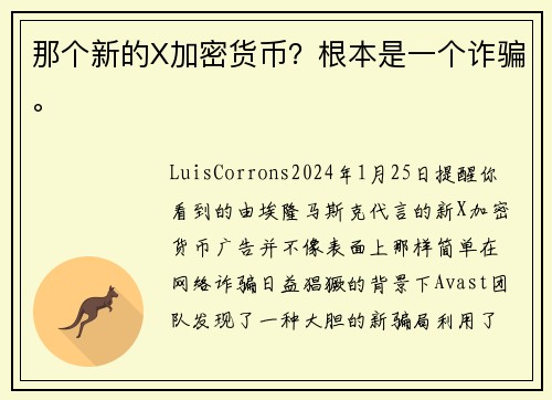 那个新的X加密货币？根本是一个诈骗。